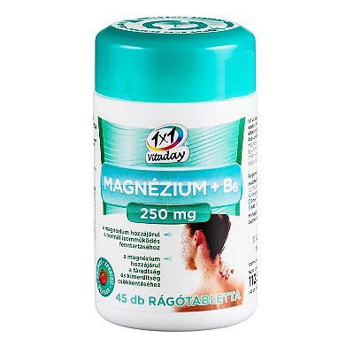 1X1 VITADAY MAGNÉZIUM+B6 250MG RÁGÓTABLETTA EPRES 45 DB